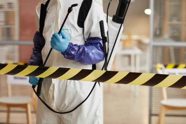 Professional Sewage Cleanup technician working in Luxemburg, WI